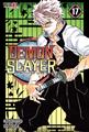 DEMON SLAYER - KIMETSU NO YAIBA 17 | 979-13-87836-24-5 | Koyoharu Gotouge